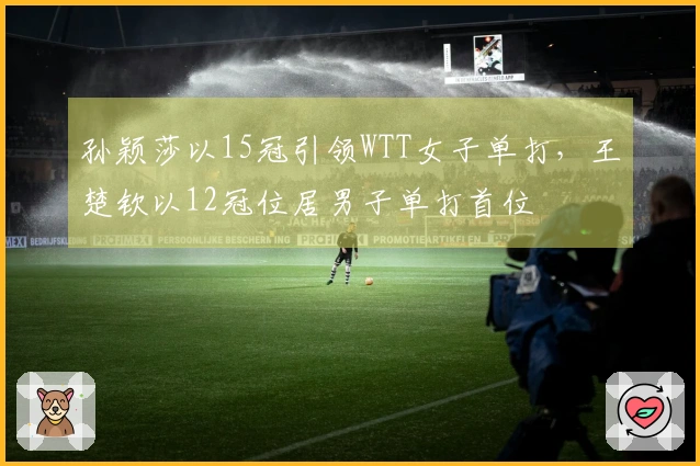 孙颖莎以15冠引领WTT女子单打，王楚钦以12冠位居男子单打首位